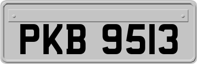 PKB9513