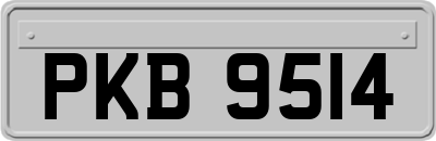 PKB9514