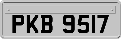PKB9517
