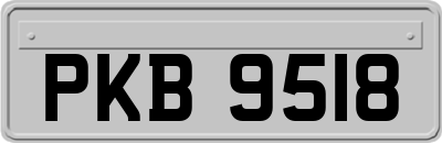 PKB9518