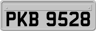 PKB9528