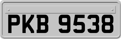 PKB9538