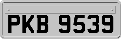 PKB9539