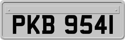 PKB9541