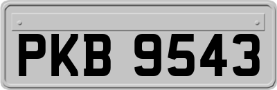 PKB9543
