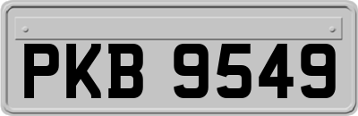 PKB9549