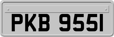 PKB9551