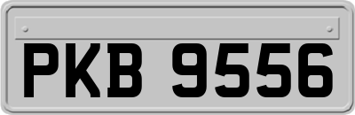 PKB9556