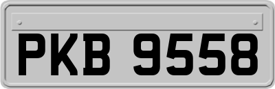 PKB9558