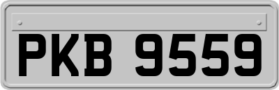PKB9559