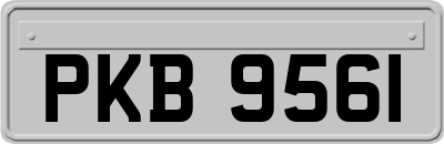 PKB9561