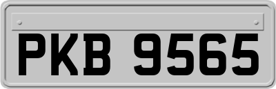 PKB9565
