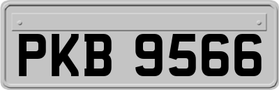 PKB9566