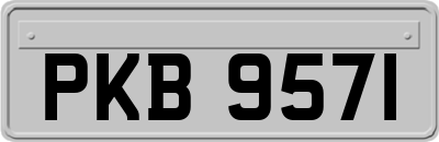 PKB9571