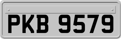 PKB9579