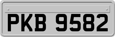 PKB9582