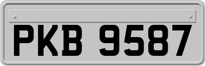 PKB9587