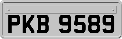 PKB9589