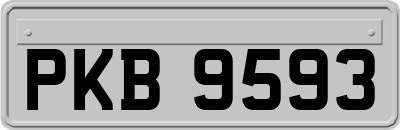 PKB9593