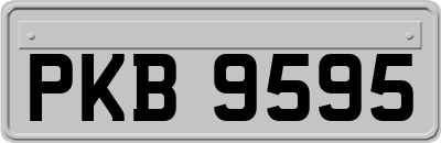 PKB9595