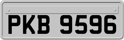 PKB9596