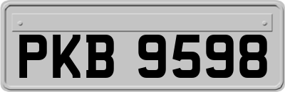PKB9598