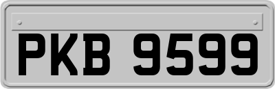 PKB9599