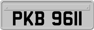 PKB9611