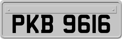 PKB9616