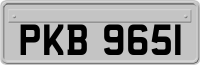 PKB9651