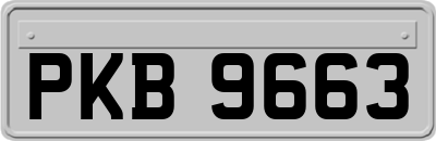 PKB9663