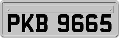 PKB9665