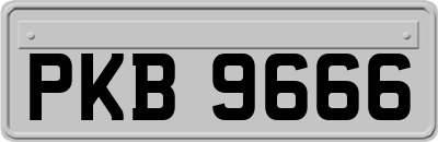 PKB9666