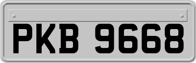 PKB9668