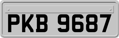 PKB9687