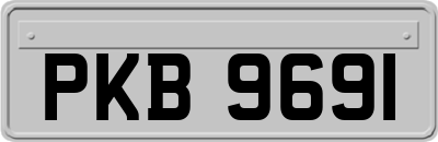 PKB9691
