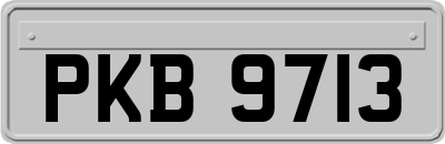 PKB9713