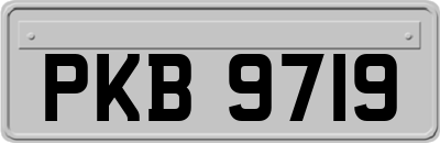 PKB9719