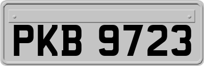 PKB9723
