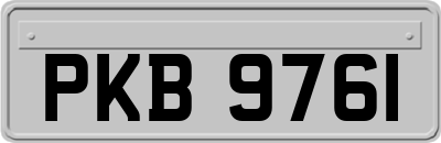 PKB9761