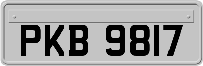 PKB9817