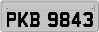 PKB9843