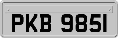 PKB9851