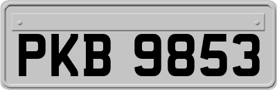 PKB9853