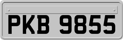 PKB9855