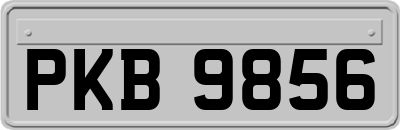 PKB9856