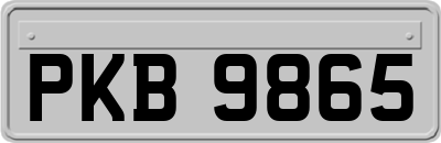 PKB9865