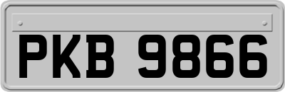 PKB9866