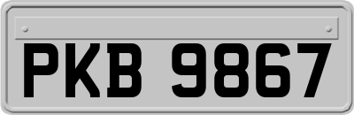 PKB9867