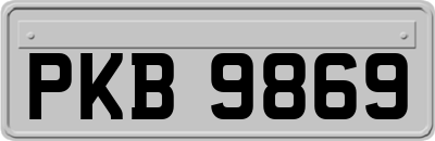 PKB9869